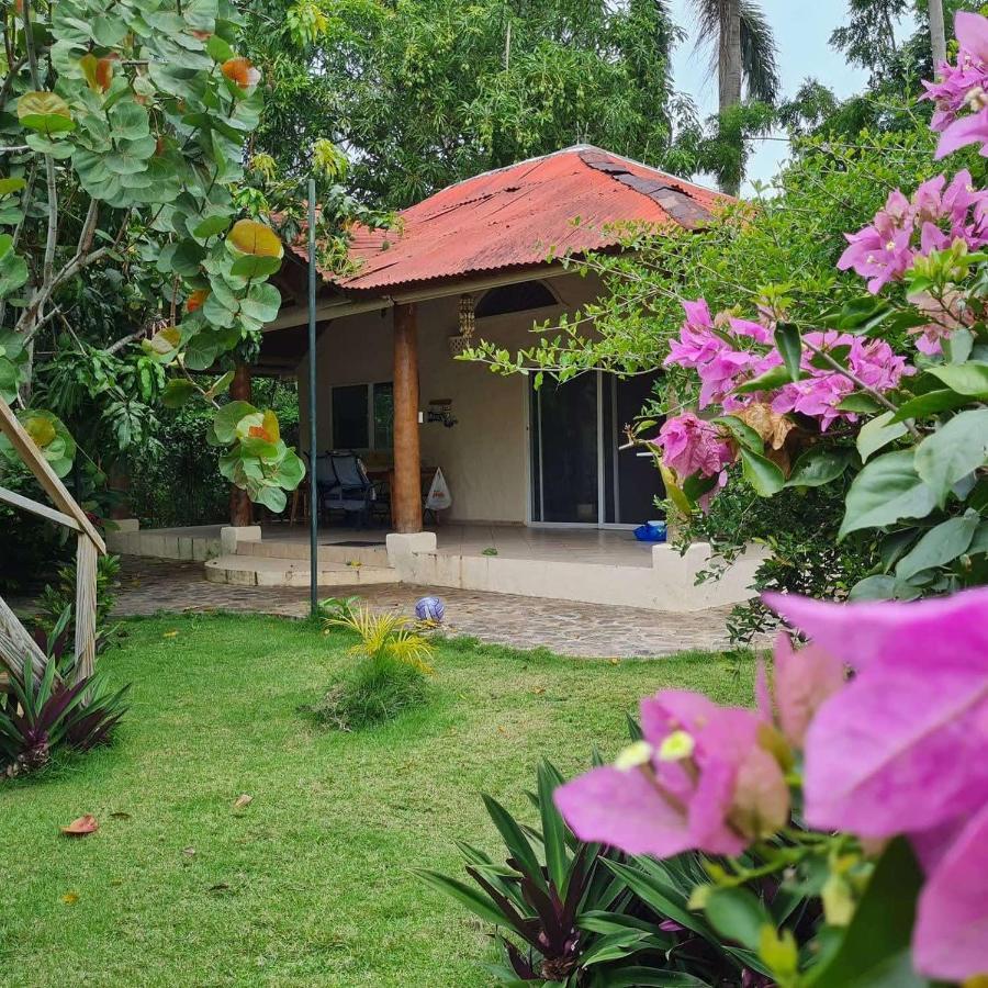 Villa Sonrisa Casa De Huespedes Las Terrenas Kültér fotó