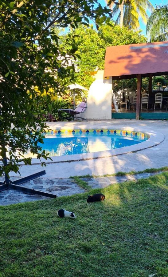 Villa Sonrisa Casa De Huespedes Las Terrenas Kültér fotó