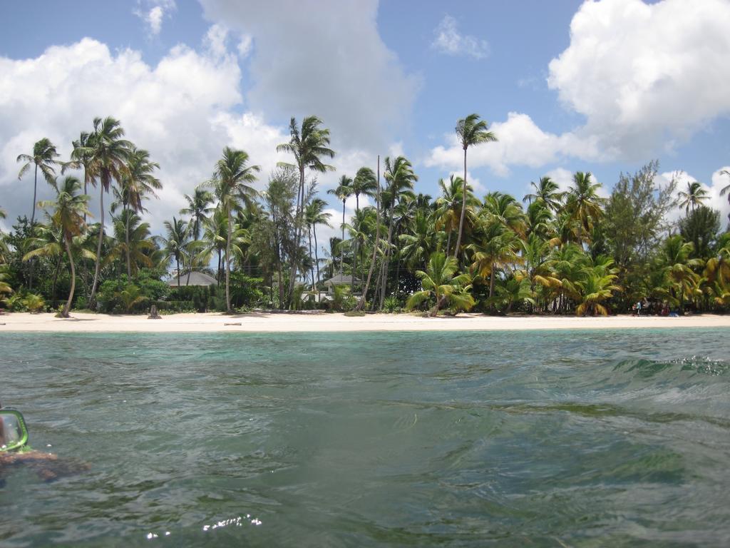 Villa Sonrisa Casa De Huespedes Las Terrenas Kültér fotó